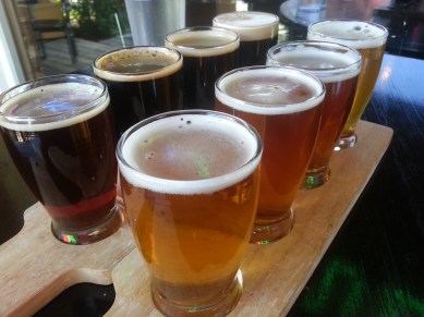 Two flights from Melvin featuring IPAs in the front, and Stouts/Porters in the back.